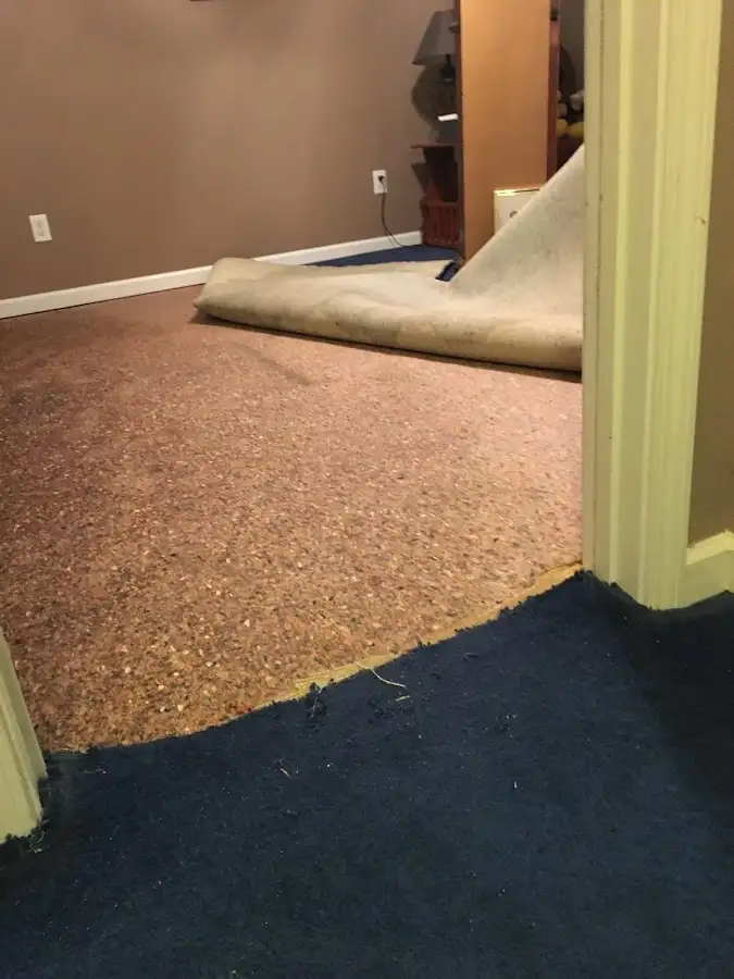 Carpet pad removal revealing water damage during Water Mitigation Services in Owatonna