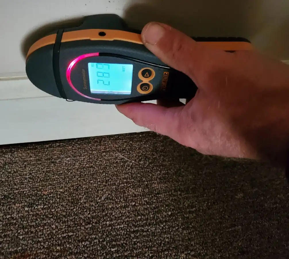 Moisture detection at baseboard during Mold Inspection & Testing in Owatonna